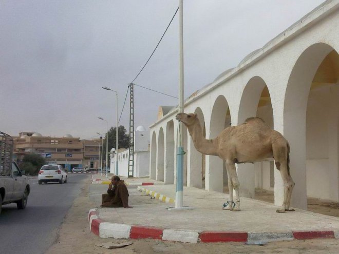 �� ������� ��� ������� ��� �� �� � ������� - ���� ���� ������ �������������� - ����� ��������� ����� � ���� ����������� �����,��� �����-�� �������� ����� - ������ ����� ������� �� ����-������ ���� � ���� ������ ���� ���� ������ ���� ��� ������� - ����������� ������� ��������� ���� �������� - �� ����� ��� (��.) ��������