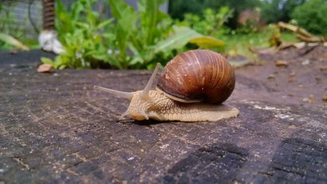�. � � ���� ������ ����