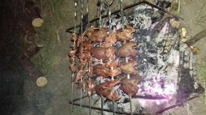 �������� 05.08 � ��������