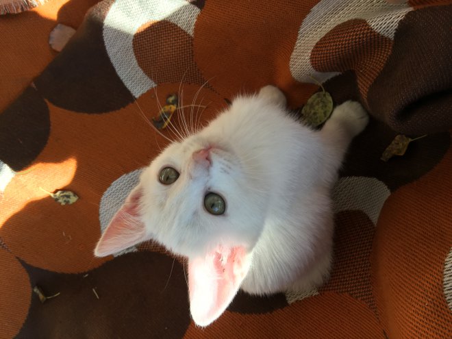 ��� ��� � ������ ������.���� ��������� �������