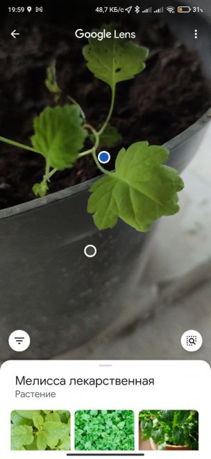 Google Lens��� ��������