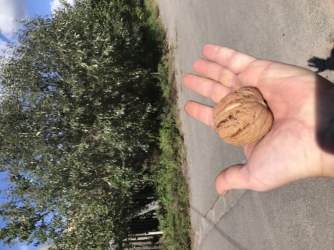     ,                  -     