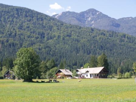 �������� ���������� ���������� �������. �����-��� ������ ����� ���� ������