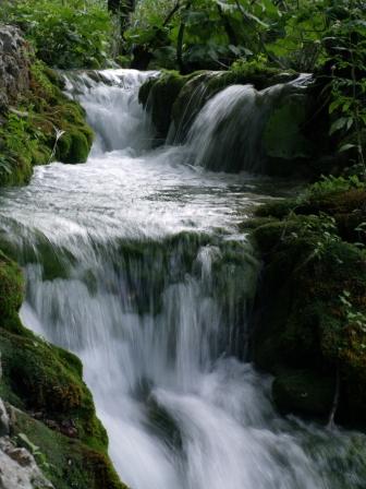 ���� ������� �� ���������� ������