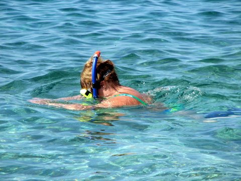 ��� ��� ����