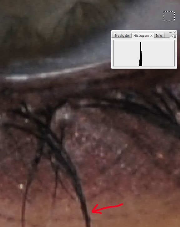 � ��� ������, ���� ������, ��������� ��������. ��������� �� � ����������� - � ������ ��������� ��������� ���������� ������� �� ������� ������ ���������