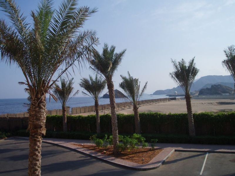 ��������� ����������.��� Pictures Manager ��� � �� ��������