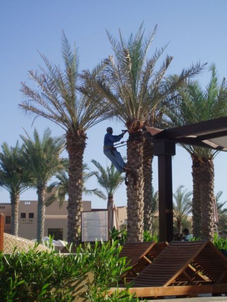 � ����� ��������� ���-�� ������, �������� � �������.� ����� �� ����� ������, ������ � �������� �����