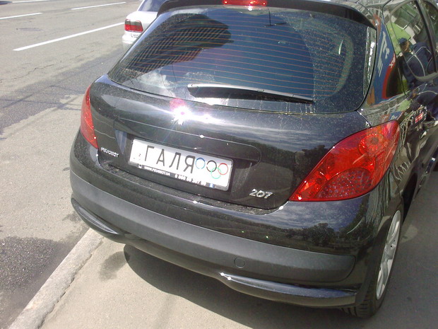 �����������