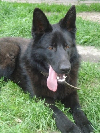    , , 1 ,    - .  18-19      -   