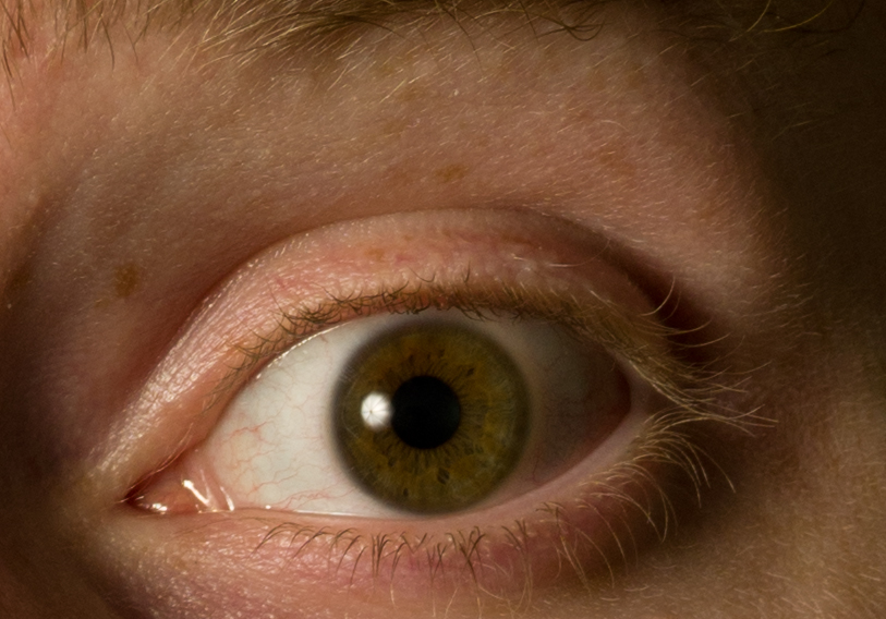 Dpreview          (Pentax 645D).   ,  54407264 -     