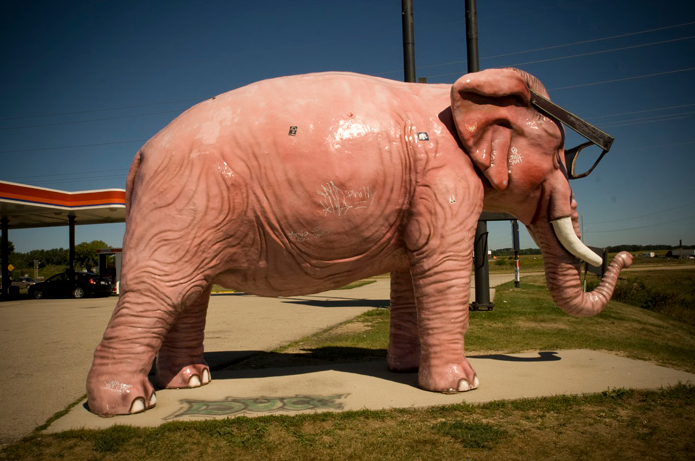 Catch the Pink elephant 4995 County Road V, DeForest, WI