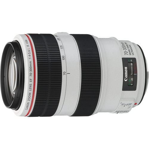          Canon EF 70-300mm f/4-5.6L L IS USM  (       )(       70-  200-   300