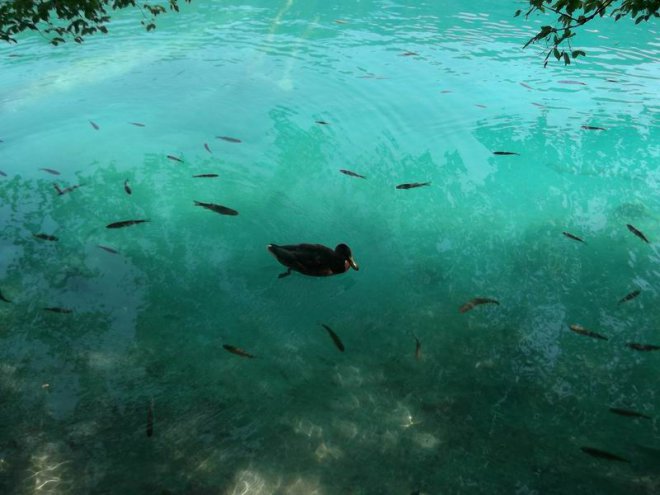 вот вам ще одна