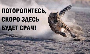 ���������� ����� ������, � ������
