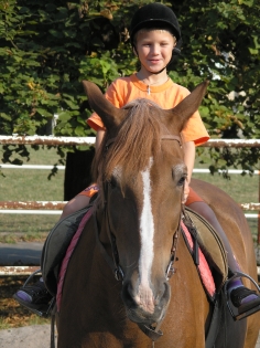 http://horses.com
