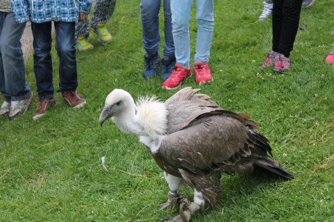 ��� ������� ����