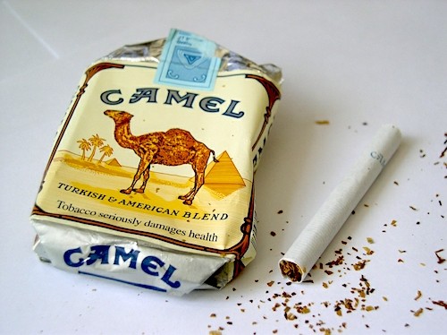    Camel  .   